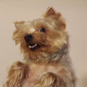 Meet your Posher, Daniel